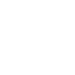 check mark