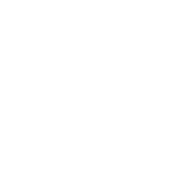 Satellite SD-WAN