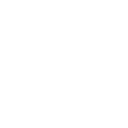 cyber security