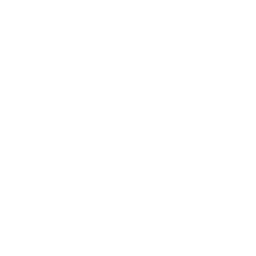 ev